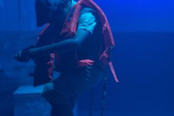 IMG_6542 IMG_6542